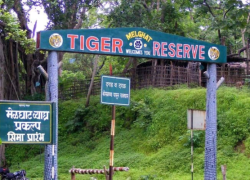 Melghat Wildlife Safari